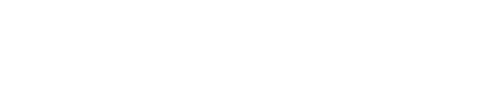 Umbrella IT company